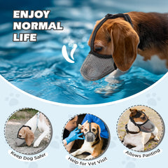 Reflective edge on a BONTHEE muzzle for safer night walks