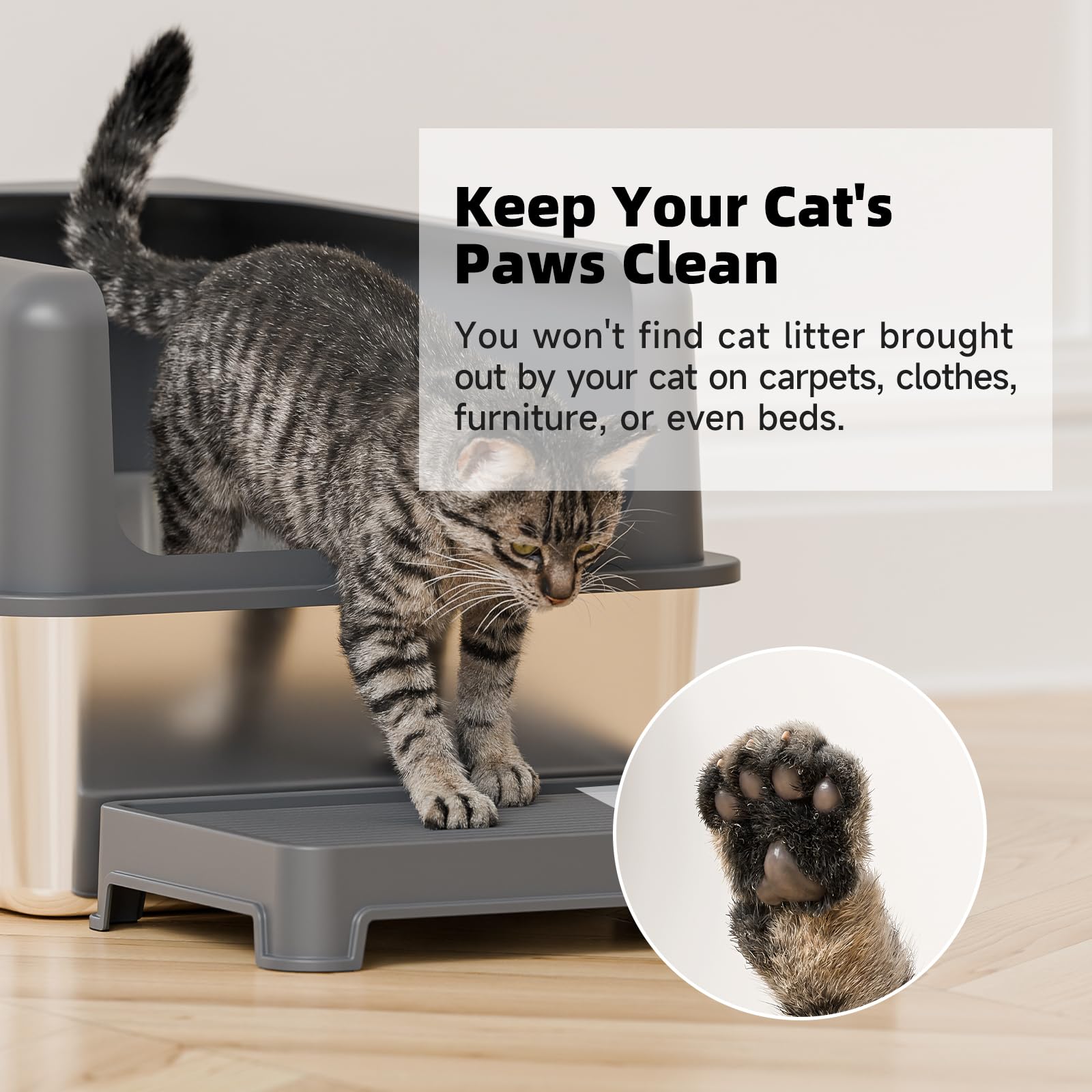 Booche small-elderly cat use-case scene features gentle ramp for comfort.