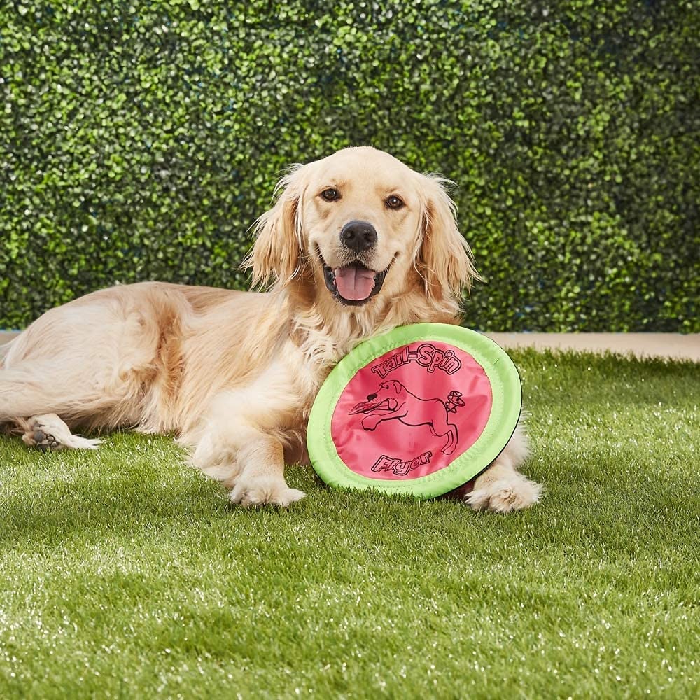 Booda pack-of-3 dog toys for versatile fetch and play across spaces.