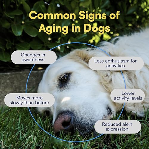 Boops Pets Resveratrol and Quercetin formula emphasizes antioxidant support