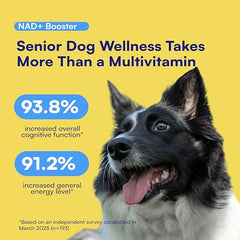 Boops Pets soft chews with pasture-raised chicken flavor support daily energy