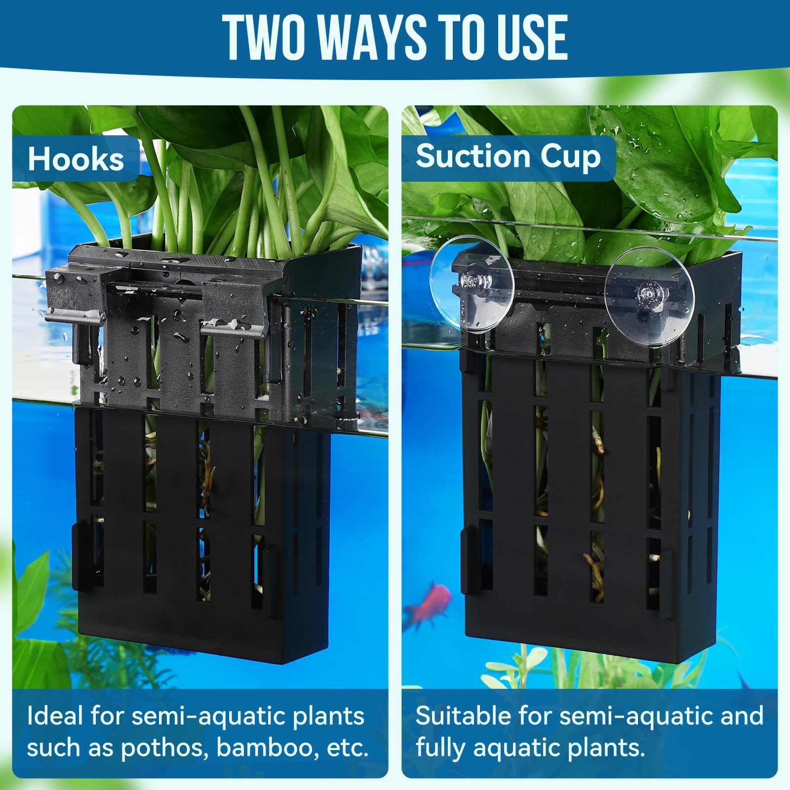Borlech aquarium plant holder size close-up notes dimensions for planning layouts.