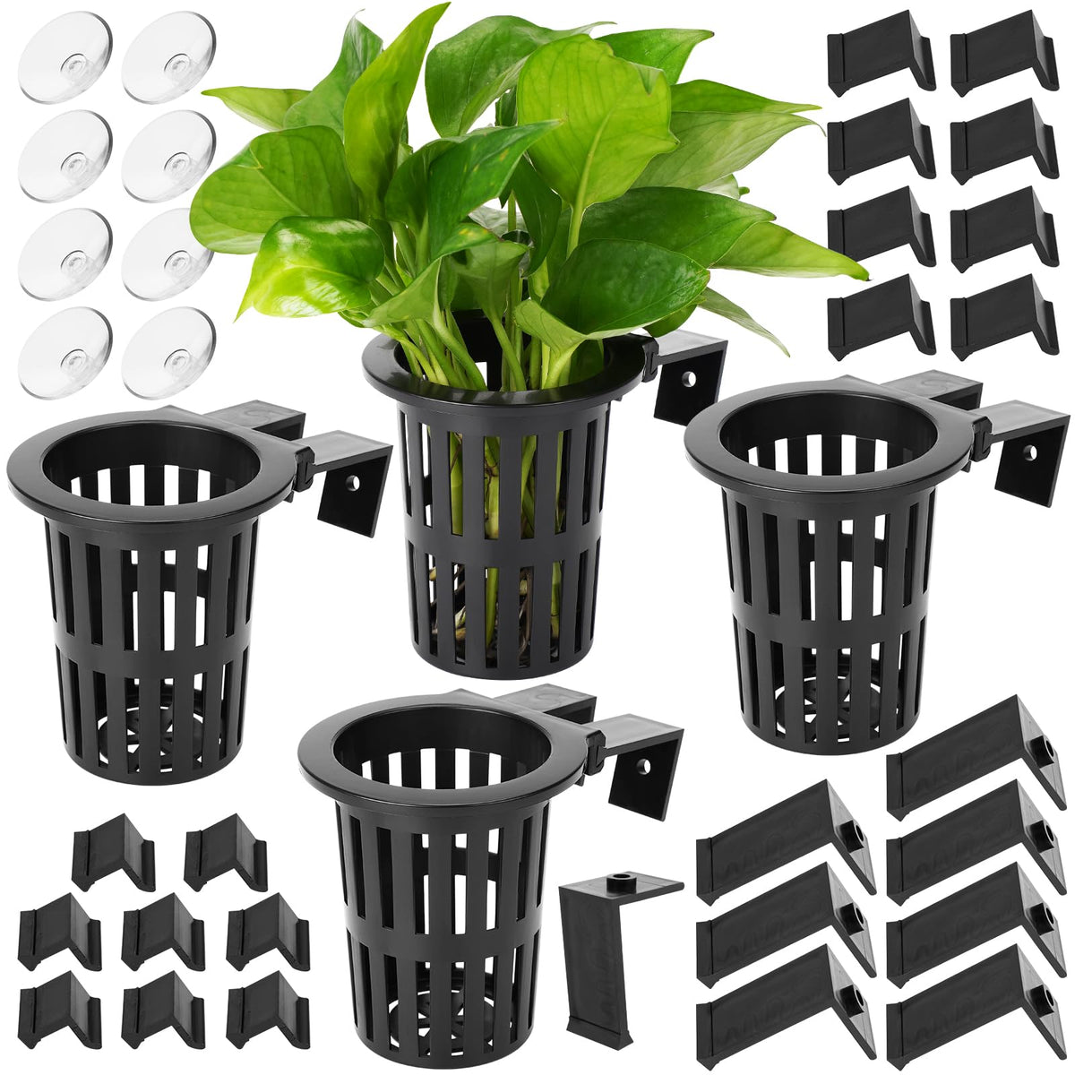Borlech aquarium plant holder extension hooks stabilize growth.