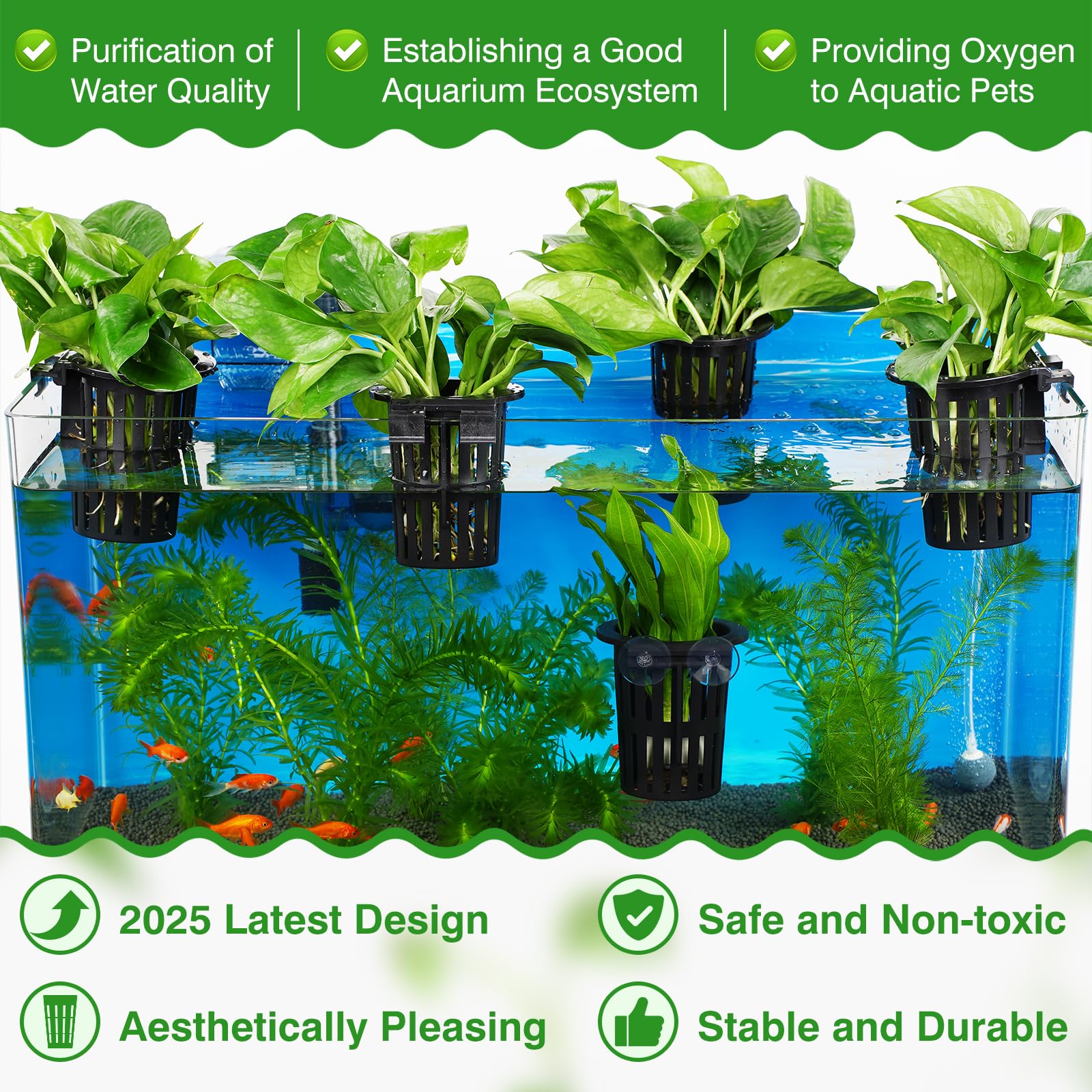 Borlech plant holder suction cups secure to glass for stable mounting.