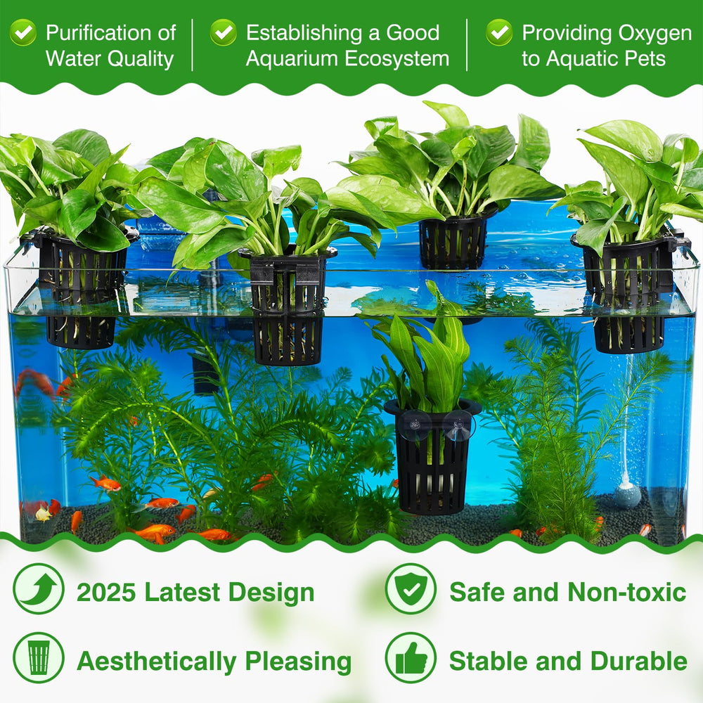 Borlech plant holder suction cups secure to glass for stable mounting.
