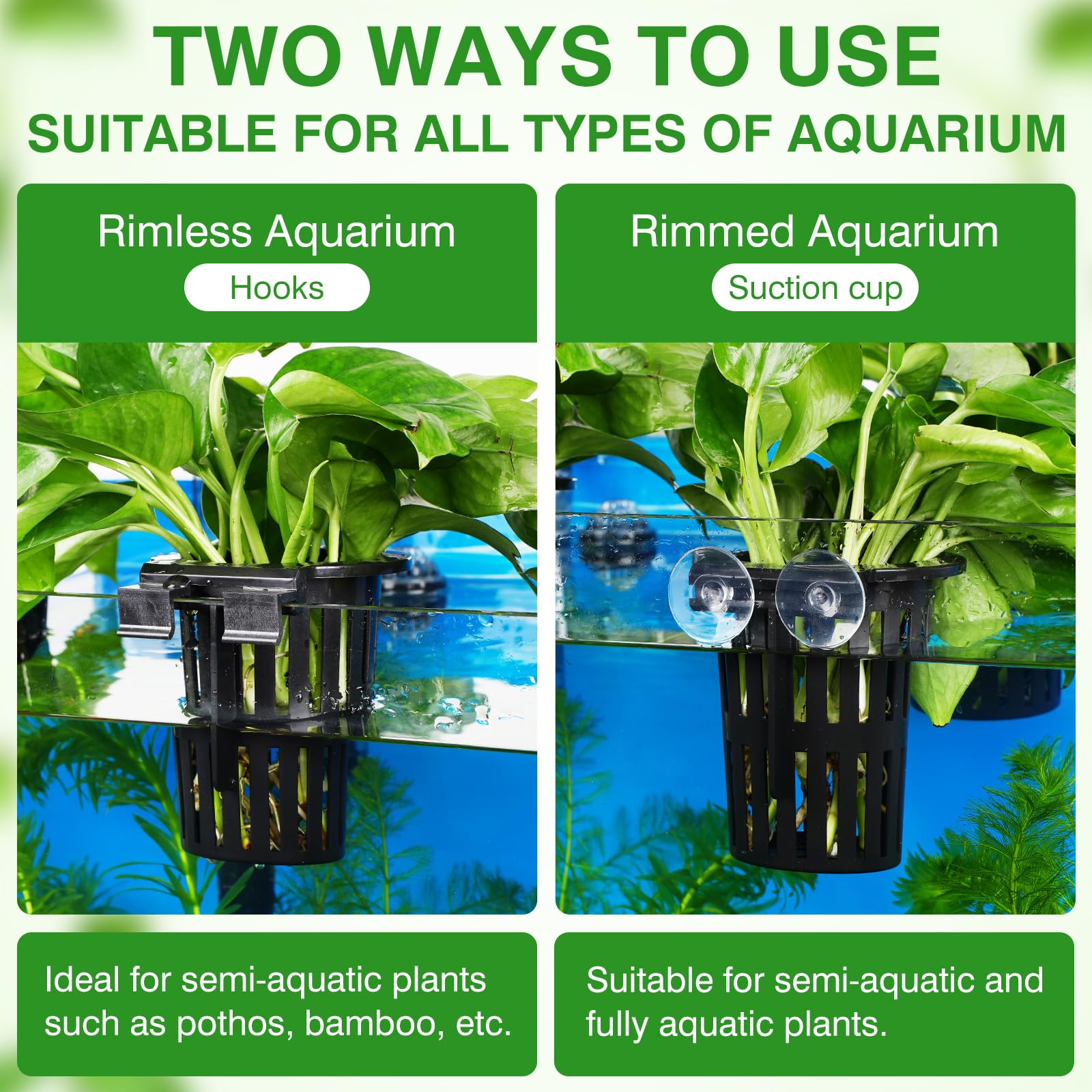 Borlech aquascape decoration enhances tank aesthetics.