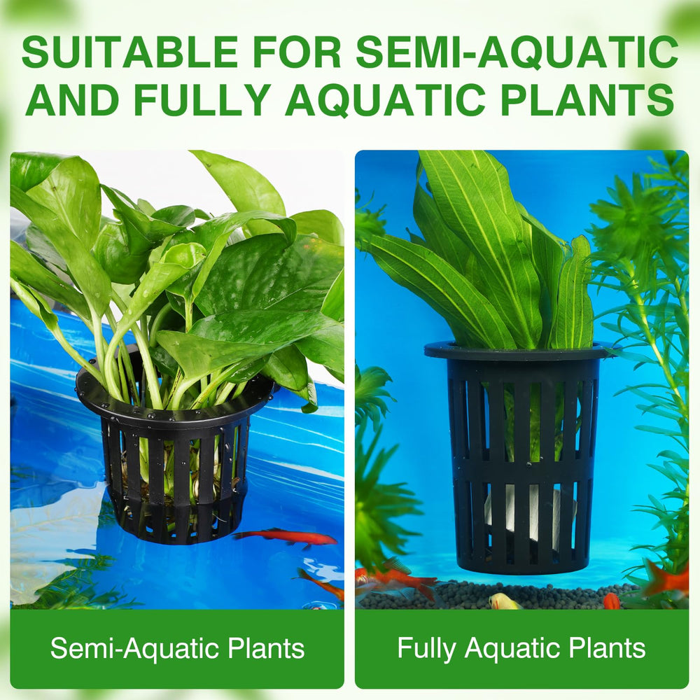Borlech stability with pebbles supports newborn aquatic plants.
