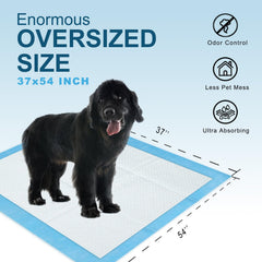 Boscute 16g absorbent core detail showing fast liquid lock.