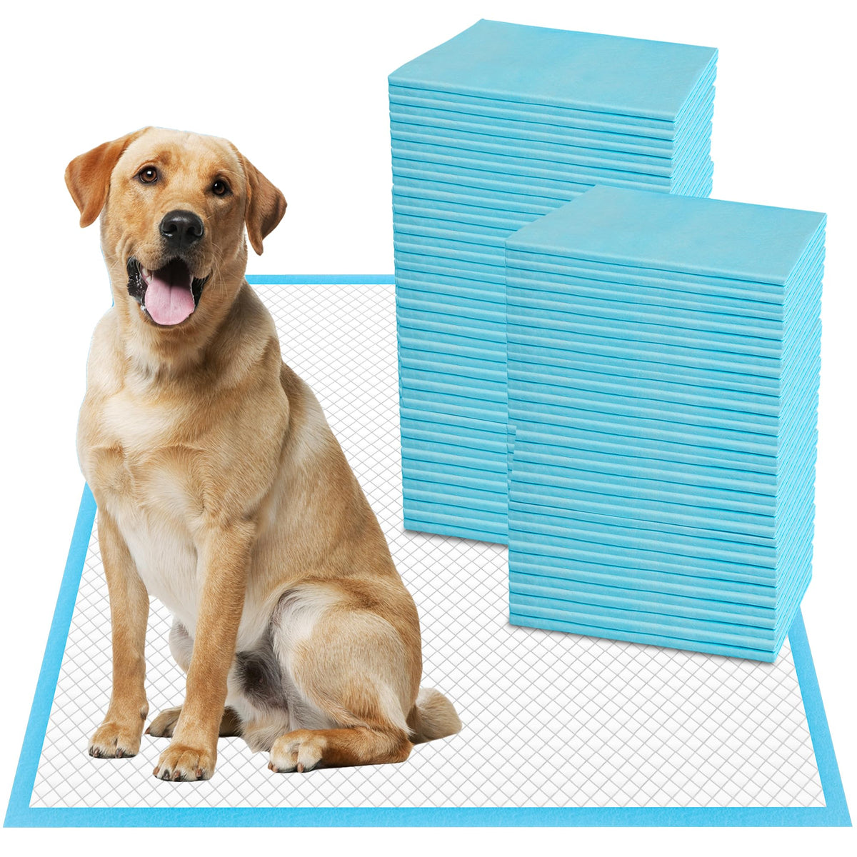 Boscute XXL Thicken 6-layers pad offers strong absorbency for pet training.