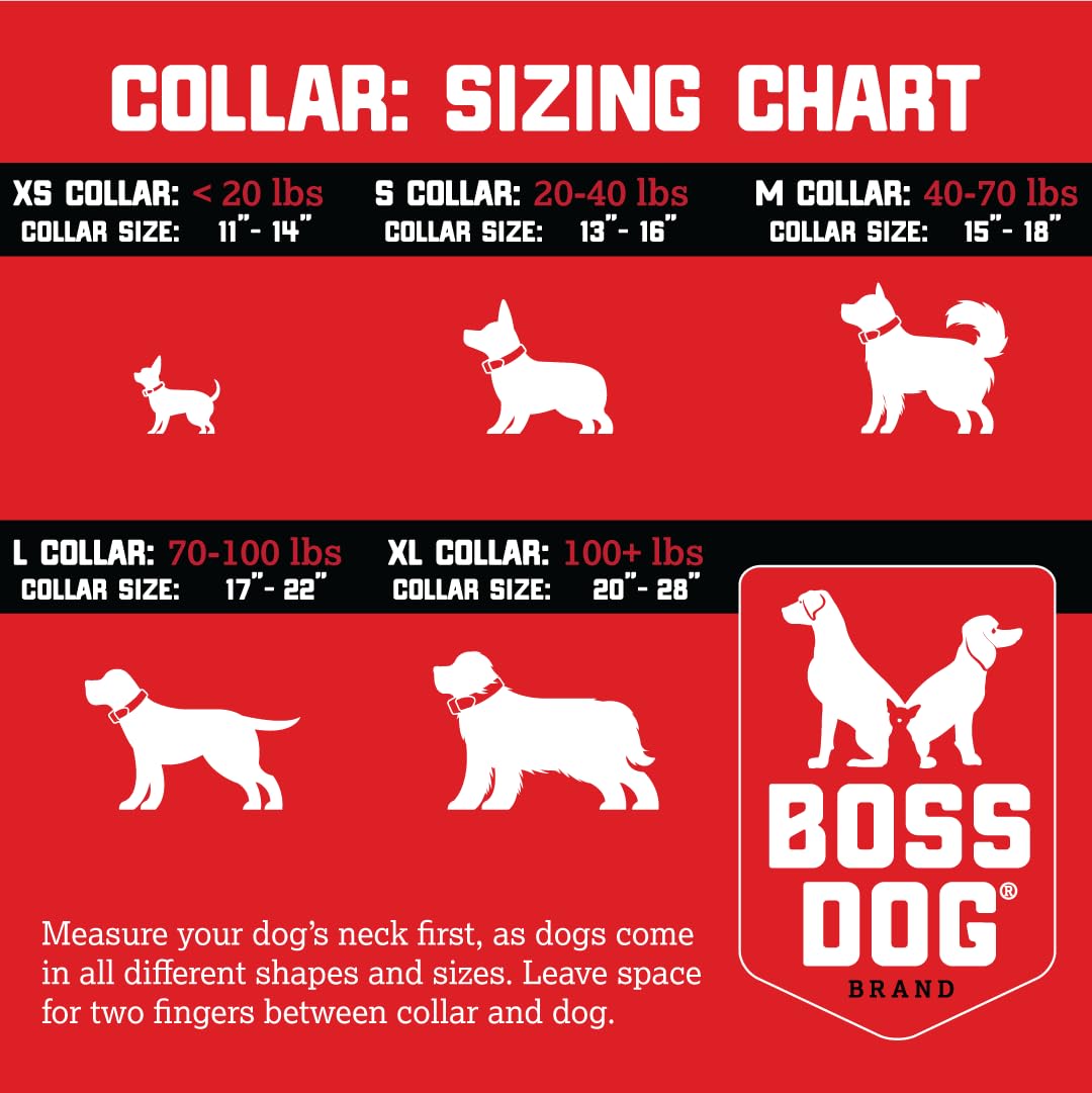 Boss Dog patches collection on collar demonstrates customizable style for a bold look