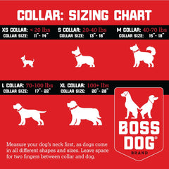 Boss Dog patches on collar closeup displaying customizable style patches