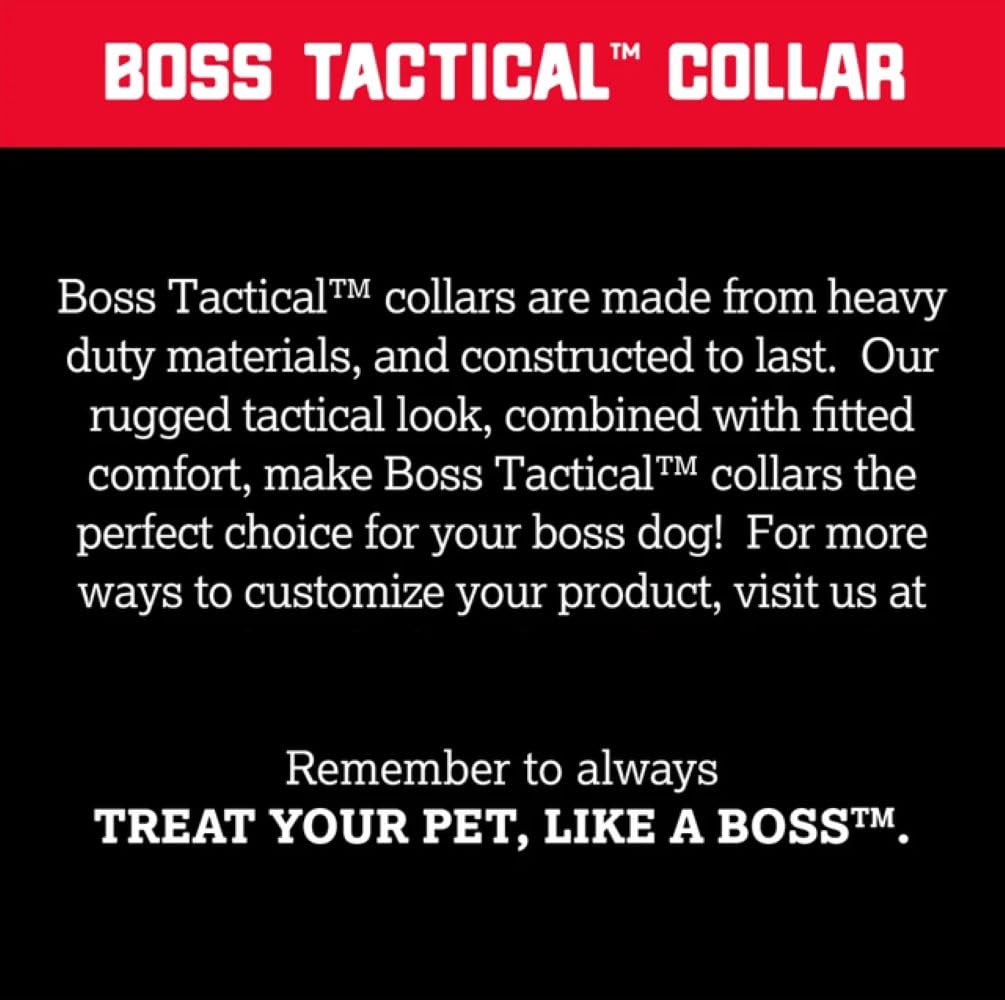 Boss Dog Tactical Collar on a dog during outdoor adventures with durability