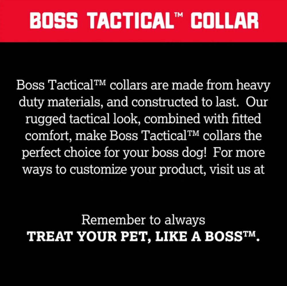 Boss Dog Tactical Collar on a dog during outdoor adventures with durability