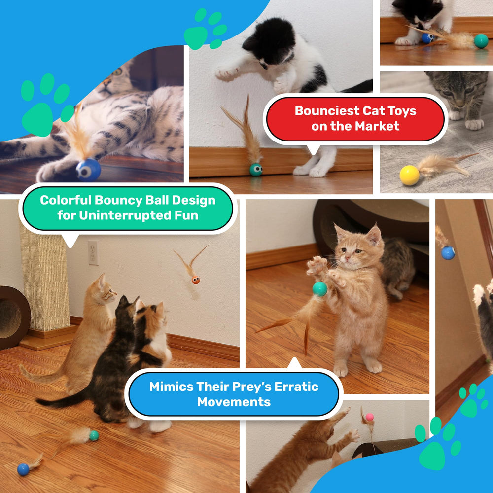 Bouncy Tails cat ball toy kitten play in motion for boundless curiosity and exercise.
