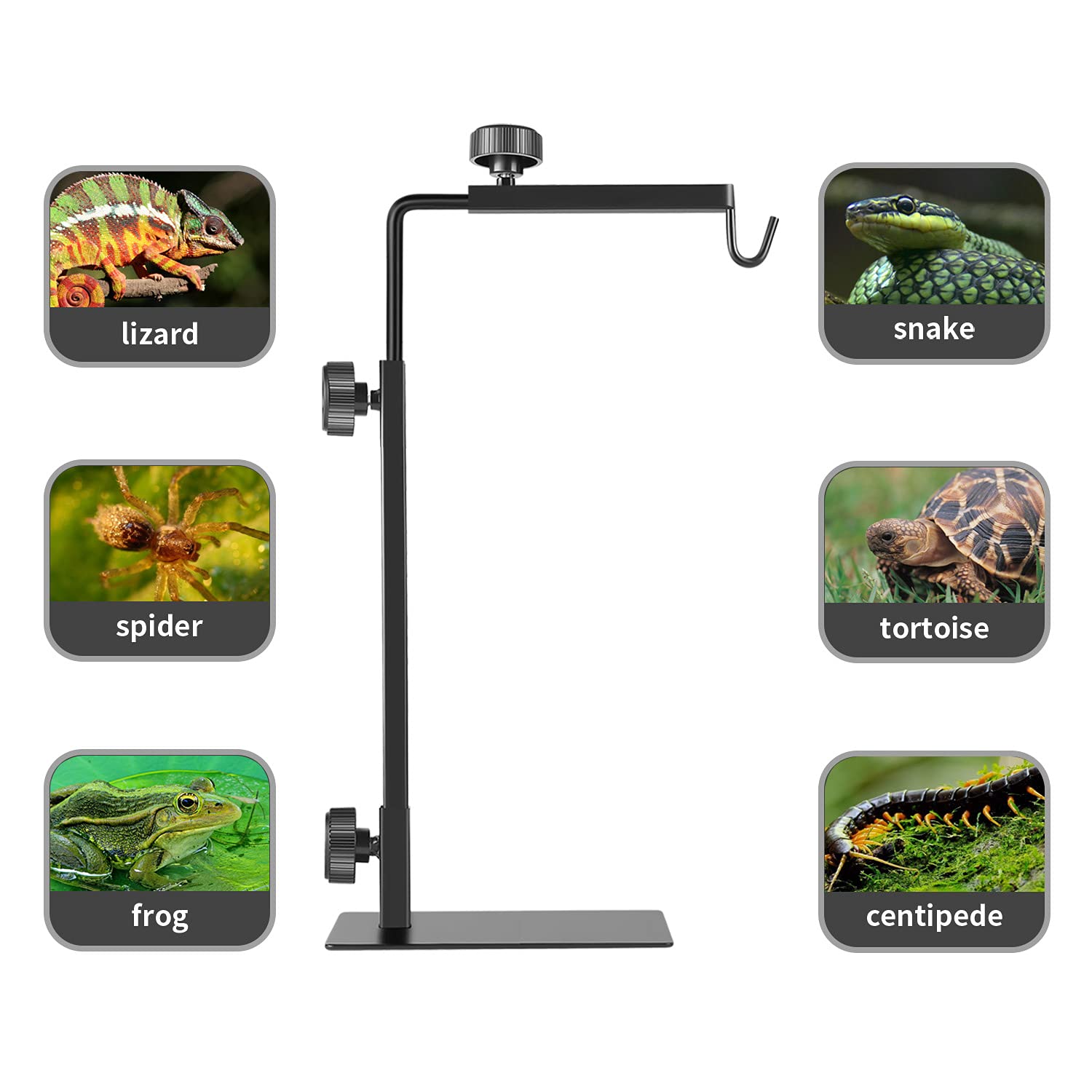 BOURDSERK reptile lamp stand base-in-glass-container provides stable mounting