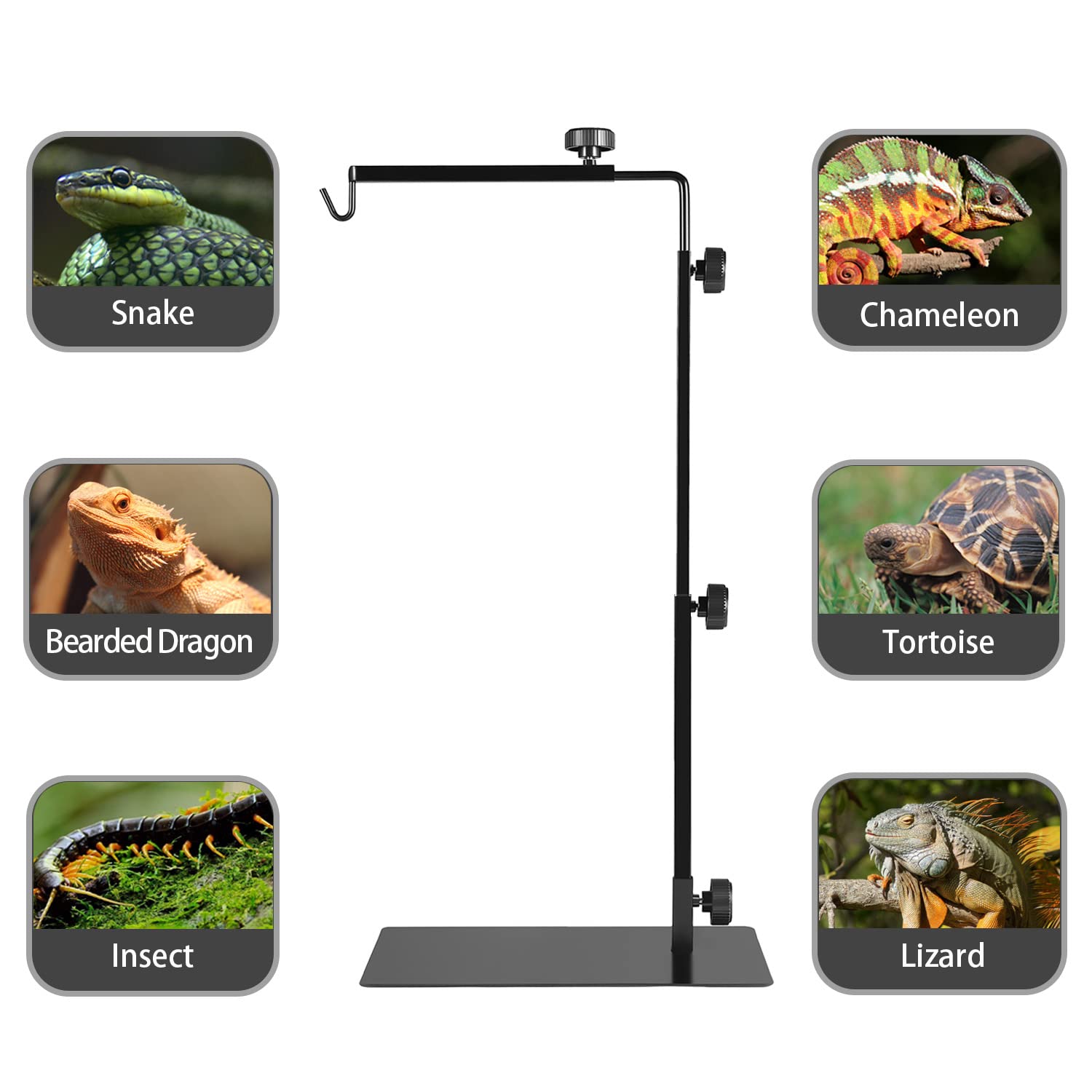 BOURDSERK reptile metal lamp stand stable base supports safe terrarium lighting.