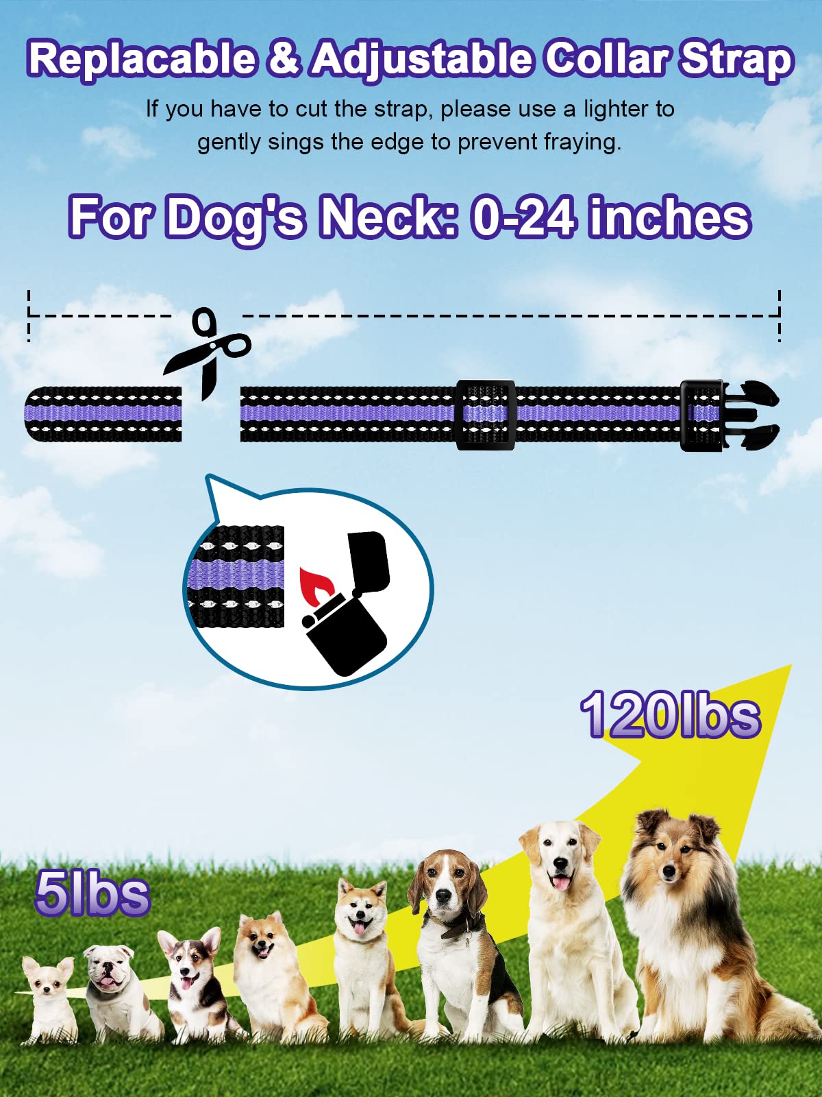 Bousnic 3300ft range in backyard setting enables long-range training
