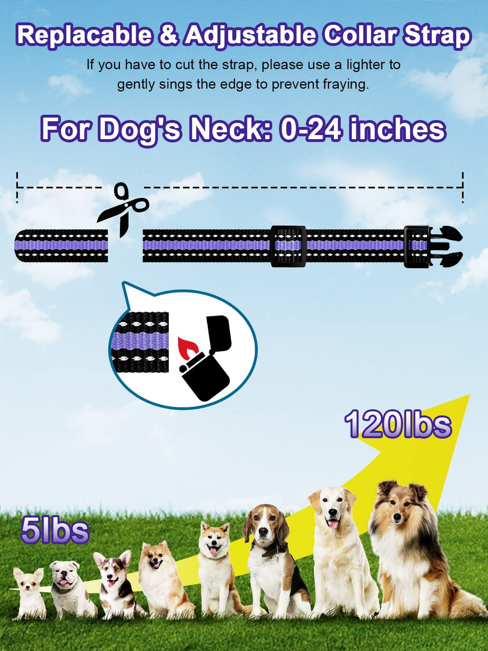 Bousnic 3300ft range in backyard setting enables long-range training