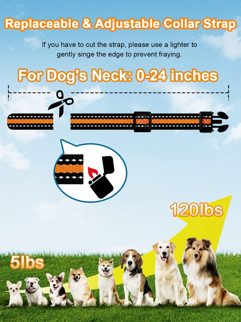 BOUSNIC compact receiver ideal for puppies and small dogs.