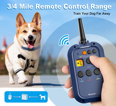 BOUSNIC dog shock collar receiver showing ergonomic design for daily wear.