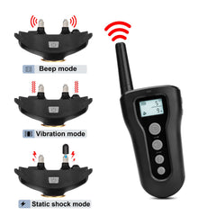 BOUSNIC dual-channel setup for two dogs supports simultaneous training.