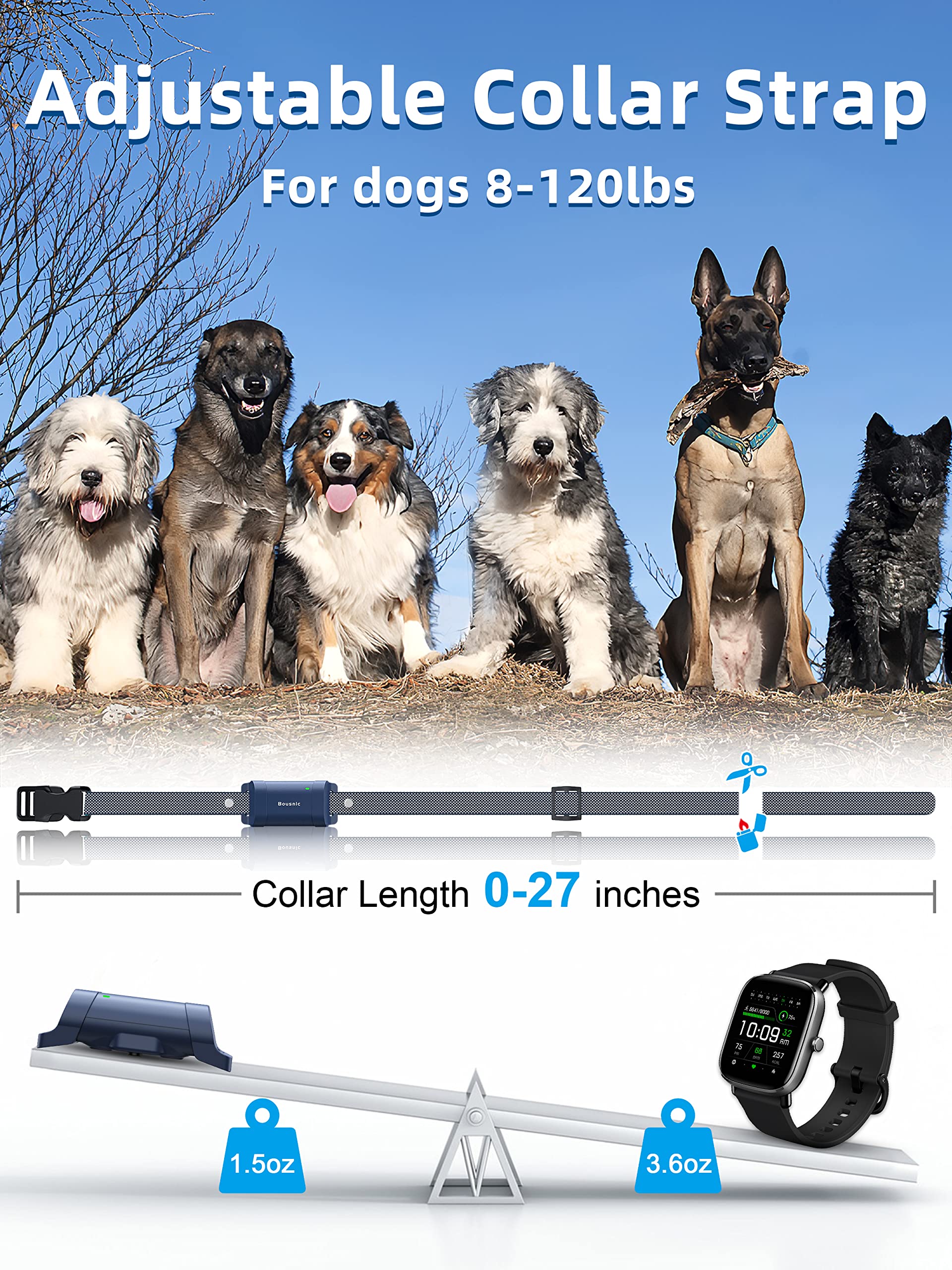 BOUSNIC training collar in outdoor use during a park walk.