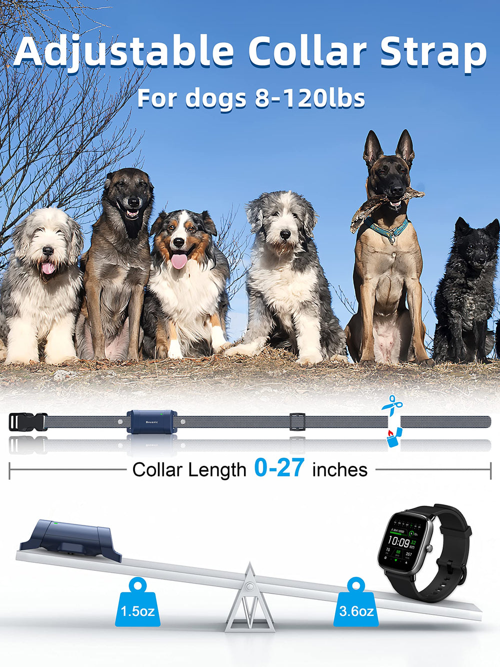 BOUSNIC training collar in outdoor use during a park walk.