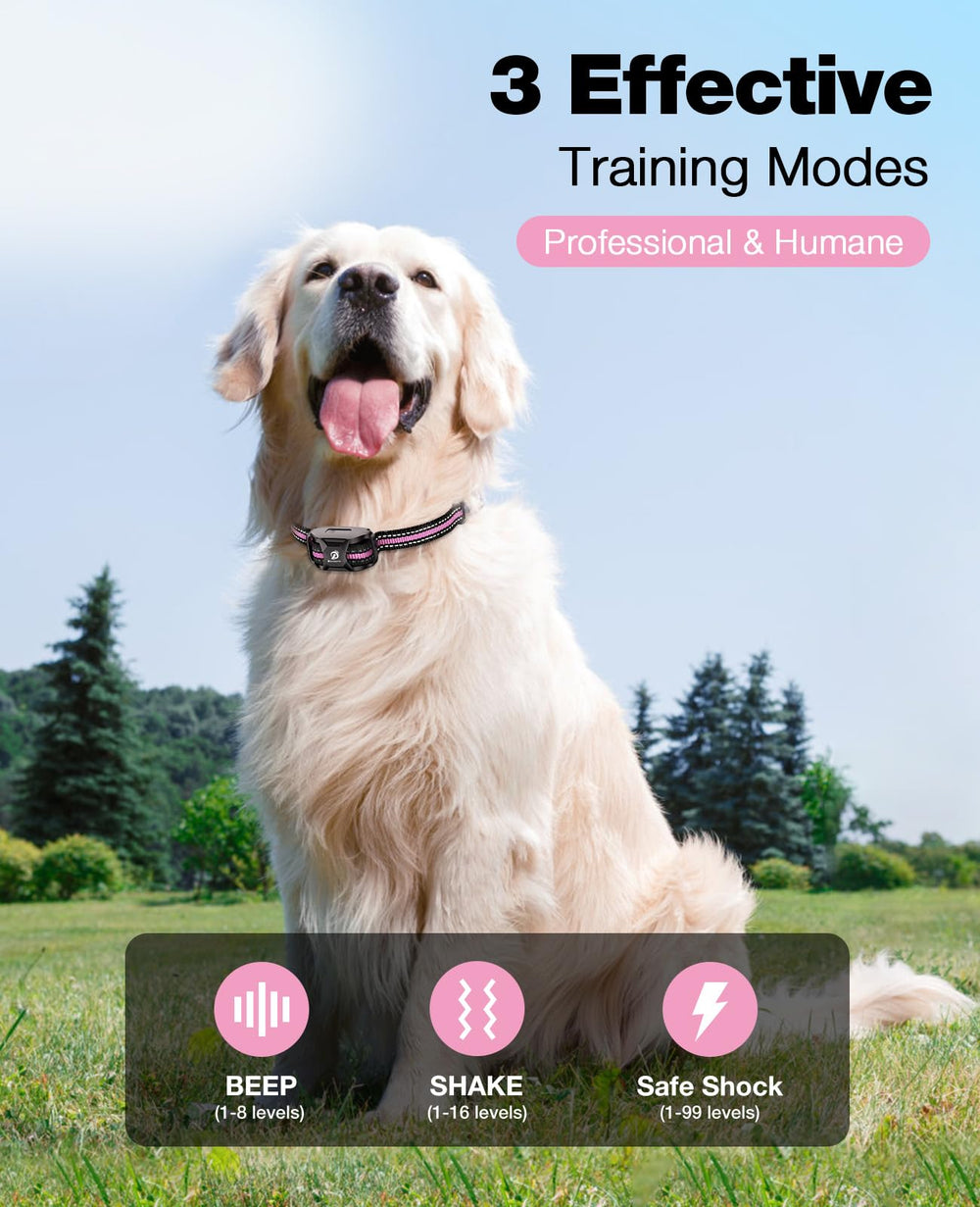 Bousnic dog training collar remote demonstrates easy control during outdoor sessions.