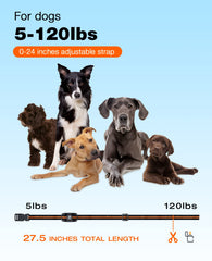 Bousnic dog wearing collar in yard for obedience reinforcement