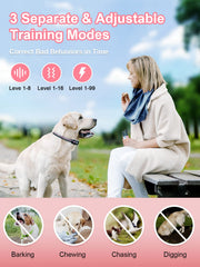 BOUSNIC dual-channel system shows two-dog training setup with independent controls.