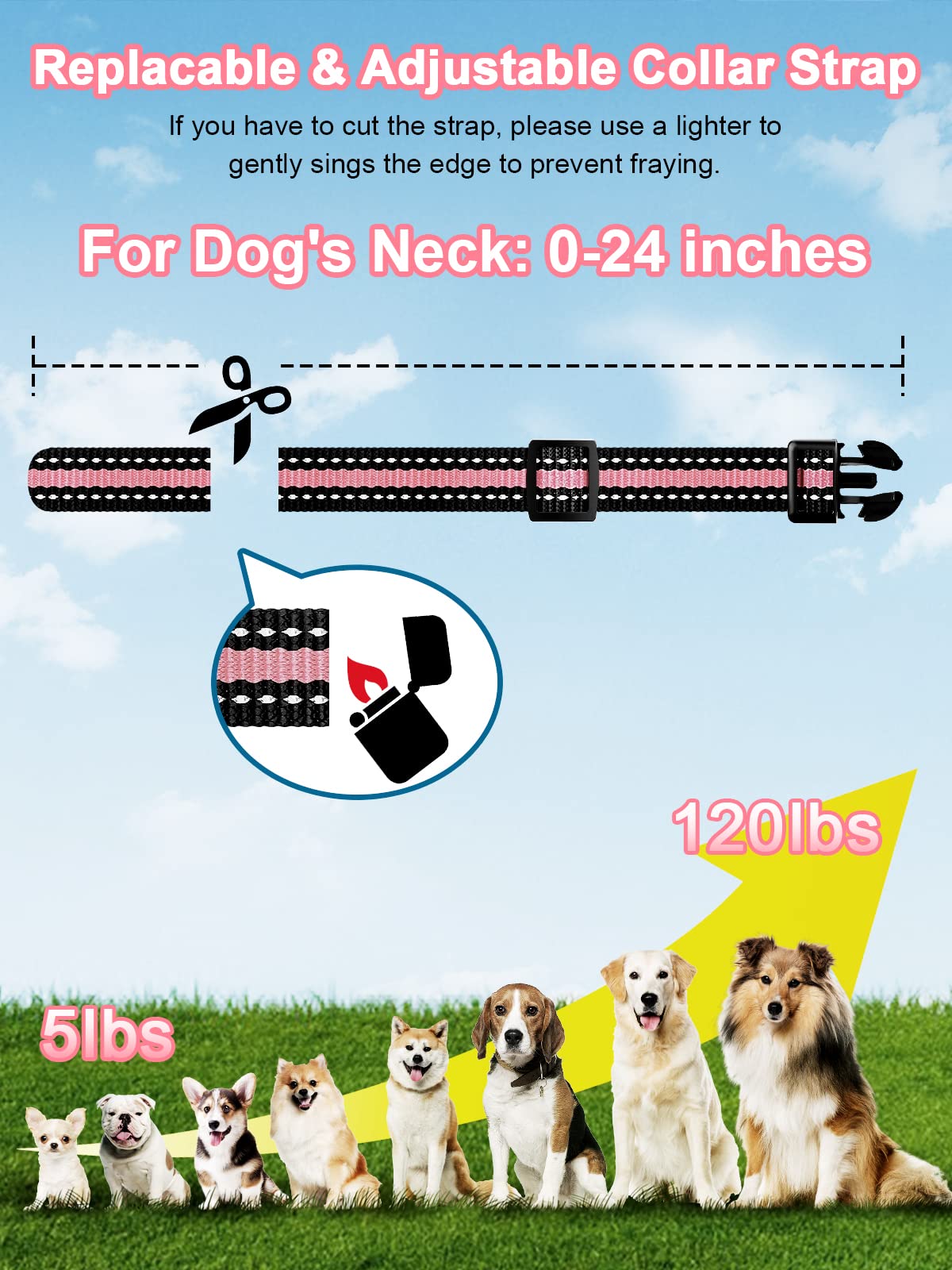 BOUSNIC IP67 waterproof rating on the collar enables swimming and shower training.