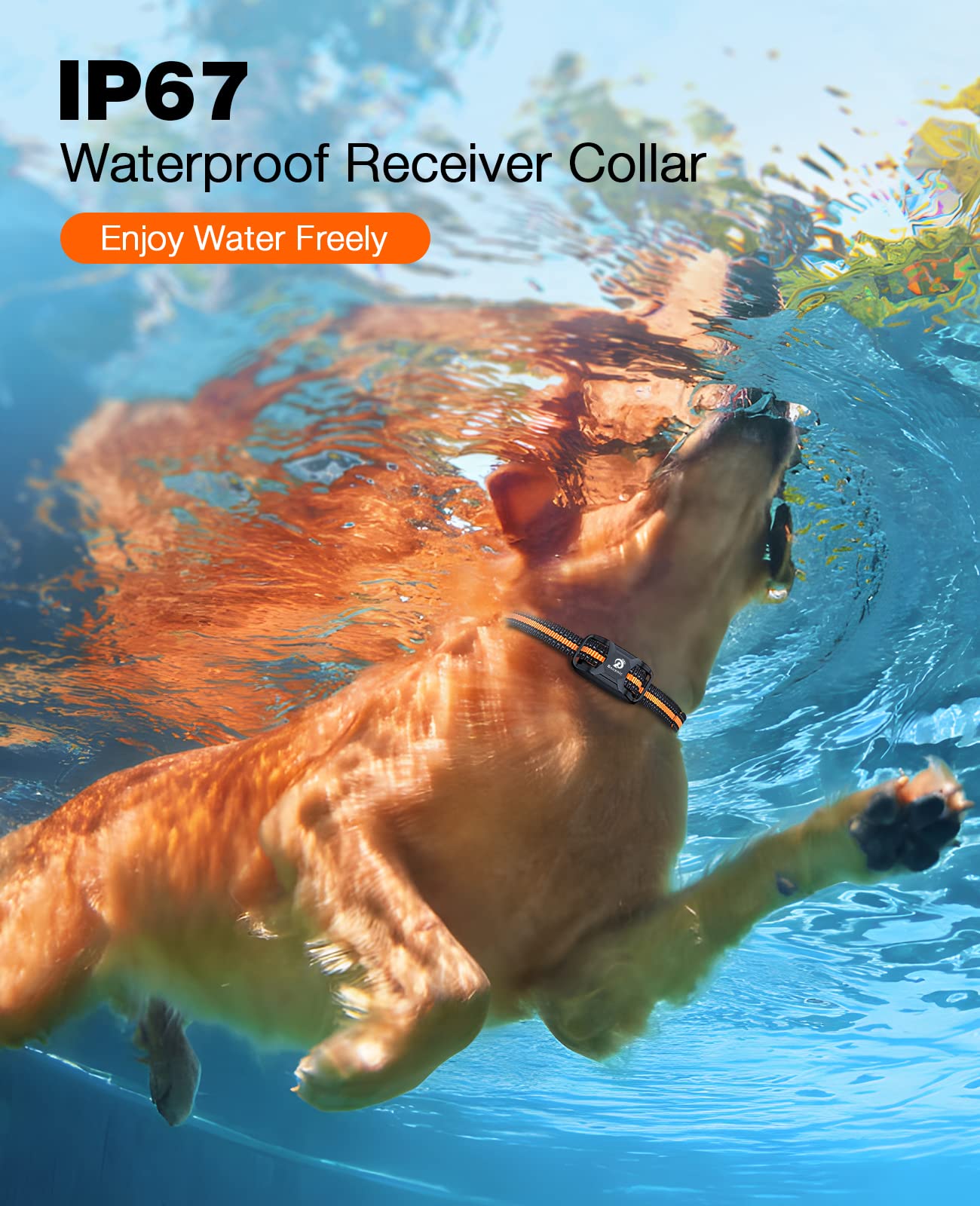 Bousnic IP67 waterproof receiver for training in wet conditions