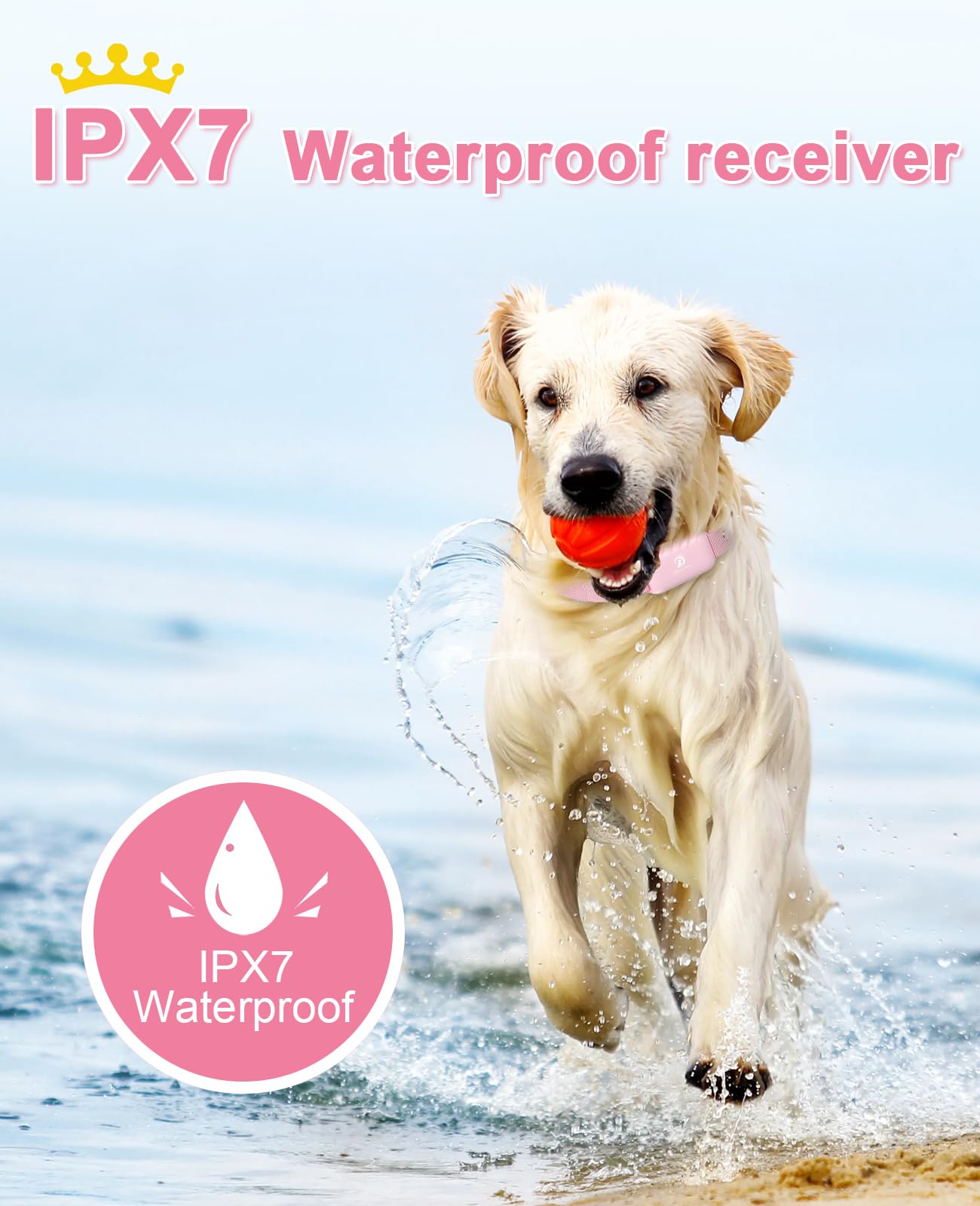 BOUSNIC shock collar IPX7 waterproof receiver ready for outdoor adventures.