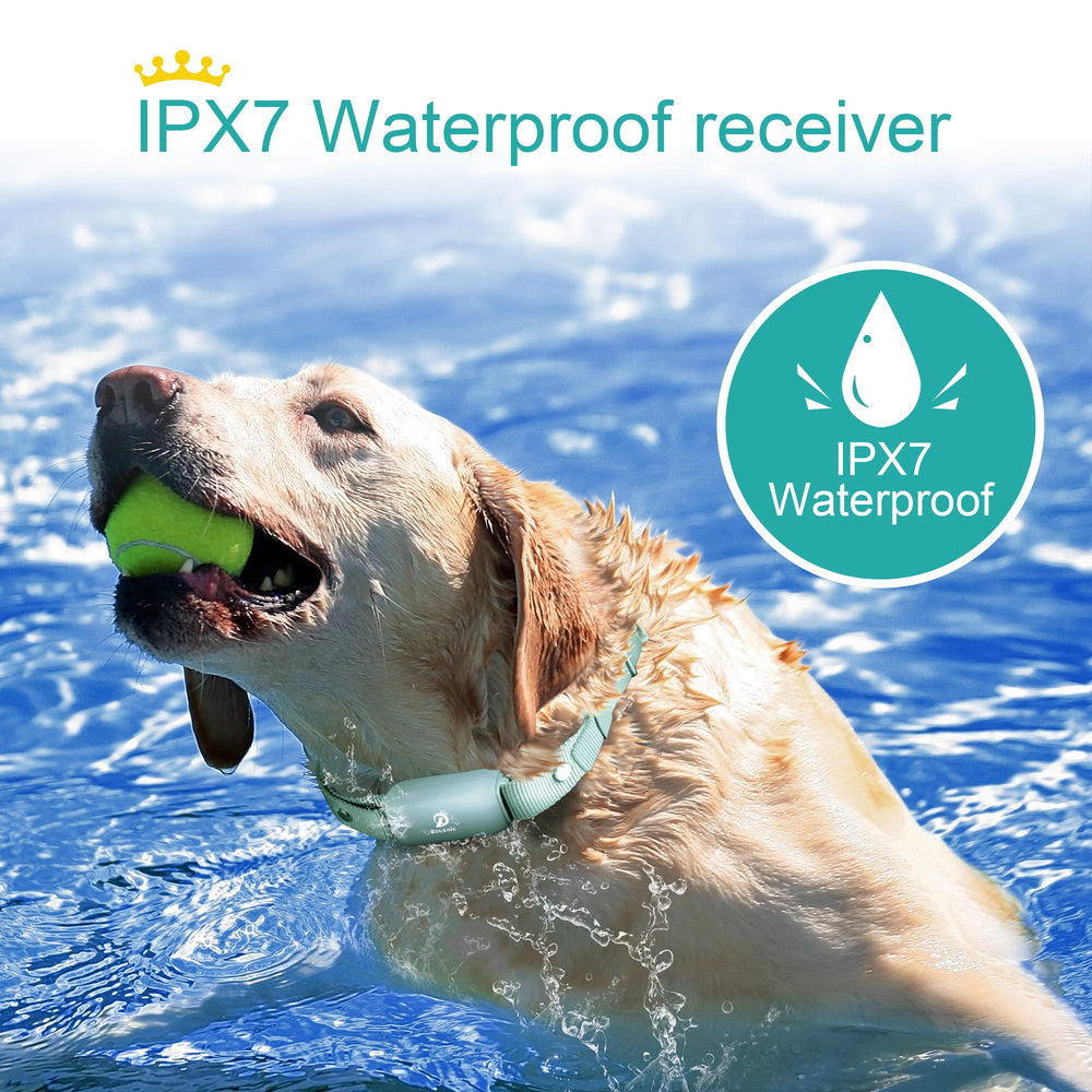 BOUSNIC waterproof receiver on a dog demonstrates reliable operation during outdoor activities.