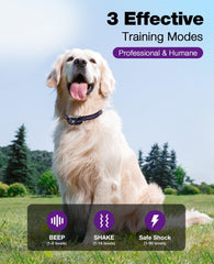 BOUSNIC training modes beeps, vibrations, and safe shock for humane behavior shaping.