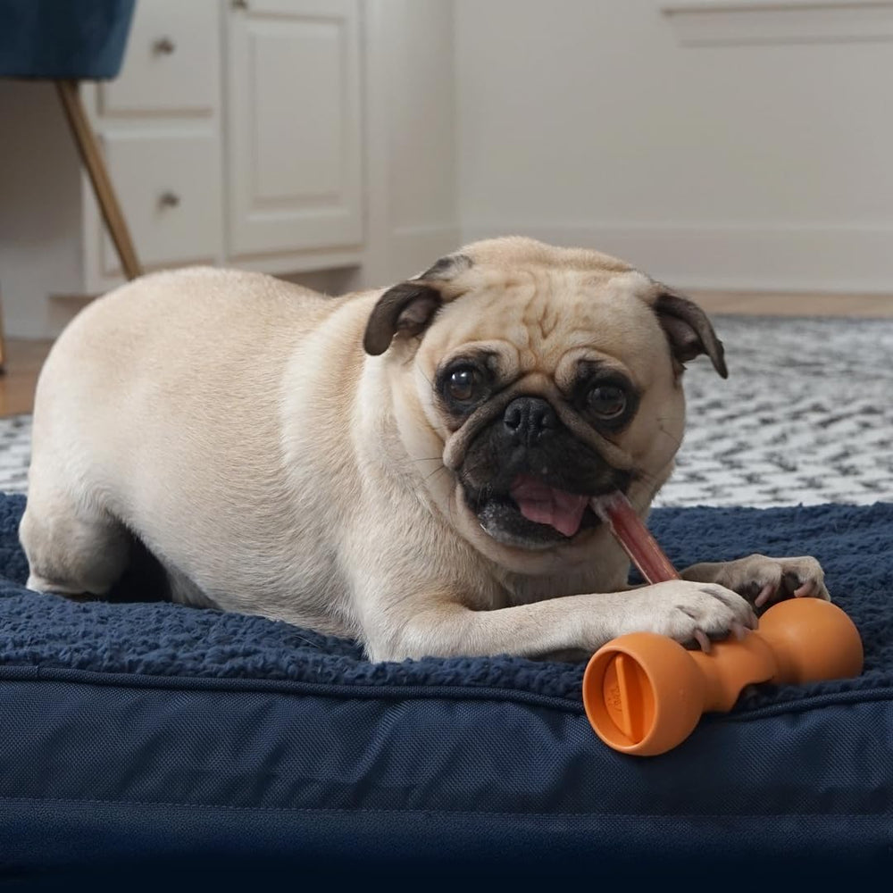 Bow Wow Labs BPA-free nylon safety holder holds bully sticks safely for dogs