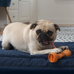 Bow Wow Labs BPA-free nylon safety holder holds bully sticks safely for dogs