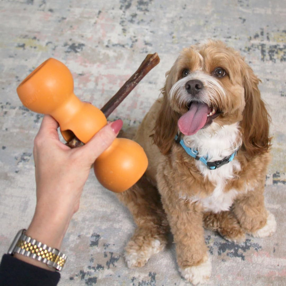 Bow Wow Labs Buddy hold demonstration on bully sticks for reduced choking risk