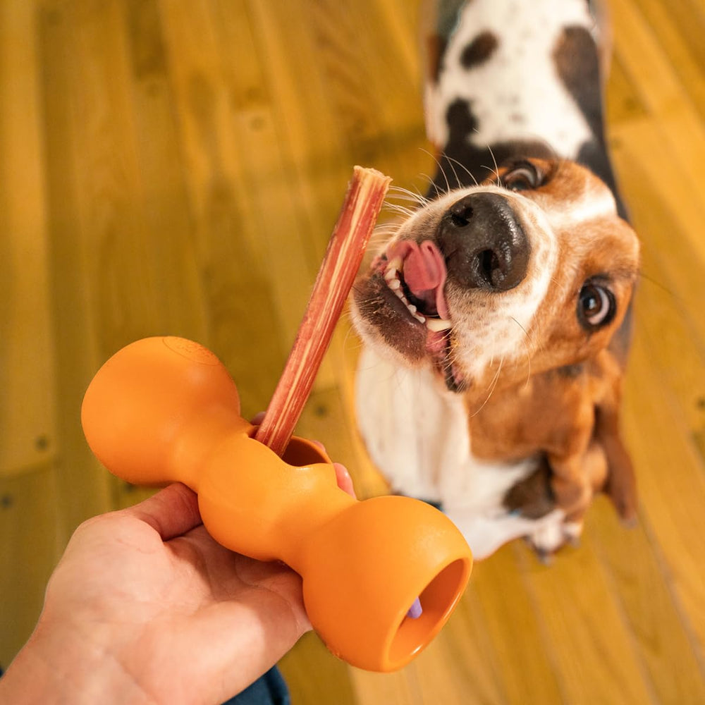 Medium dogs 31–50 lbs compatibility Bow Wow Labs Buddy Safety Device