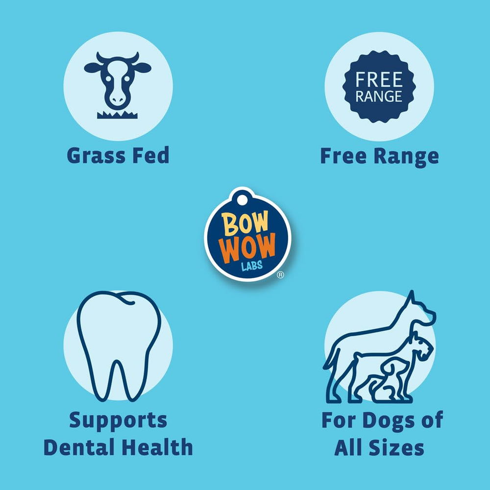 Bow Wow Labs bully sticks in use: dog happily chews while supporting dental health.