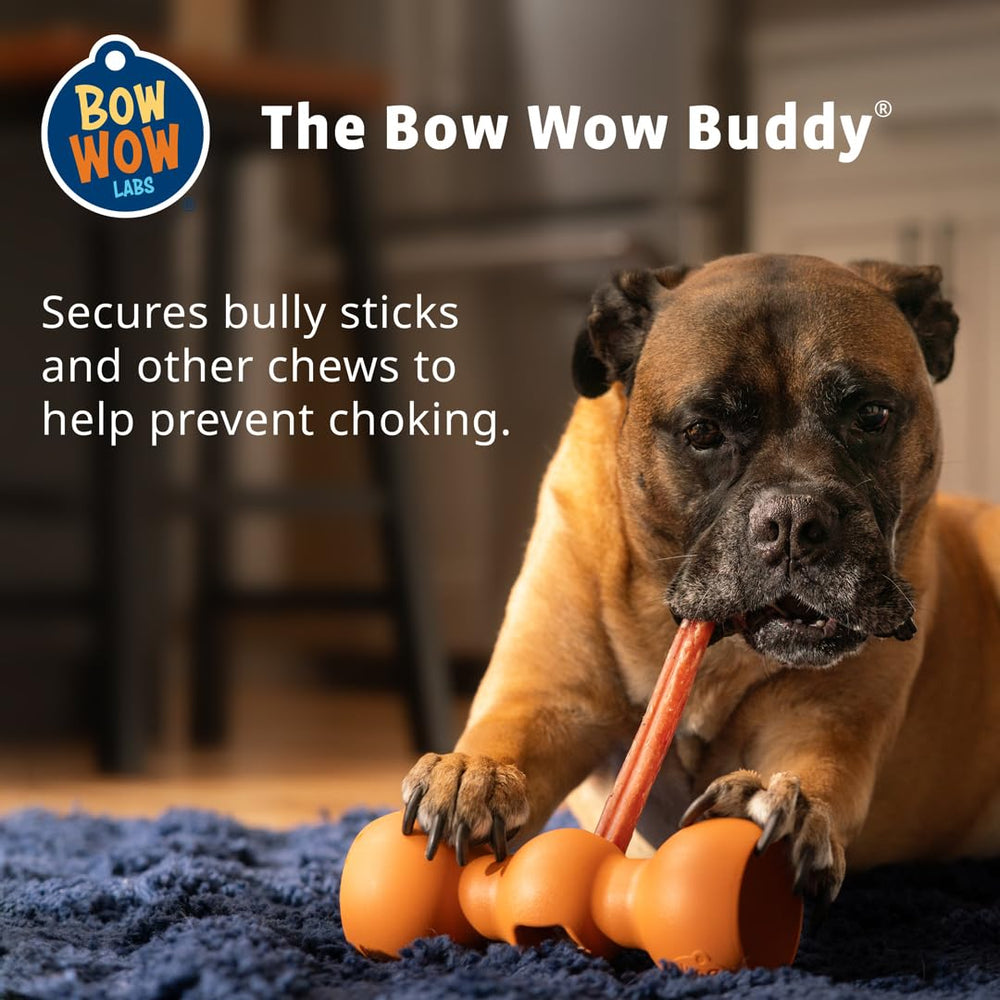 Bow Wow Labs SafeFit 6-inch bully stick demonstrates secure chewing for small dogs