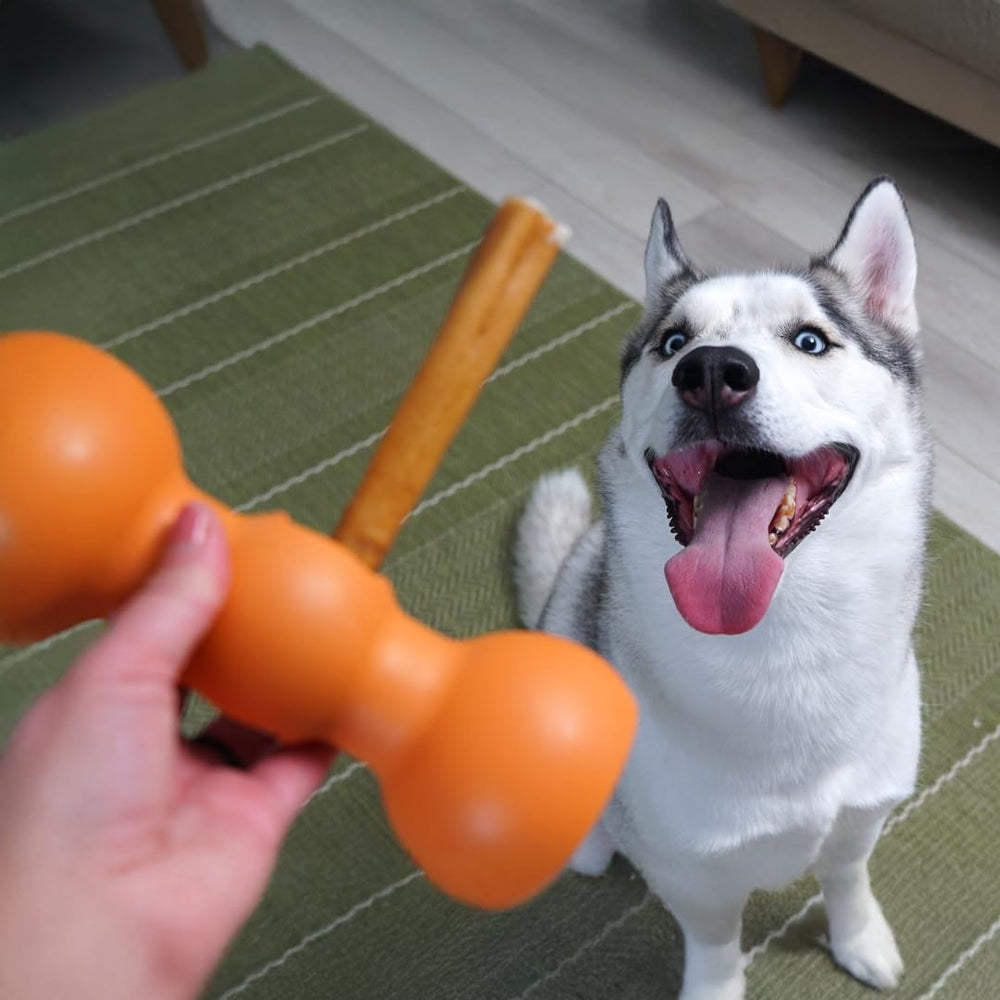 Bow Wow Labs SafeFit-sticks-in-use shows secure fit during chews