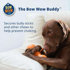 Bow Wow Labs vet-tested safety device trusted for dogs during chew sessions