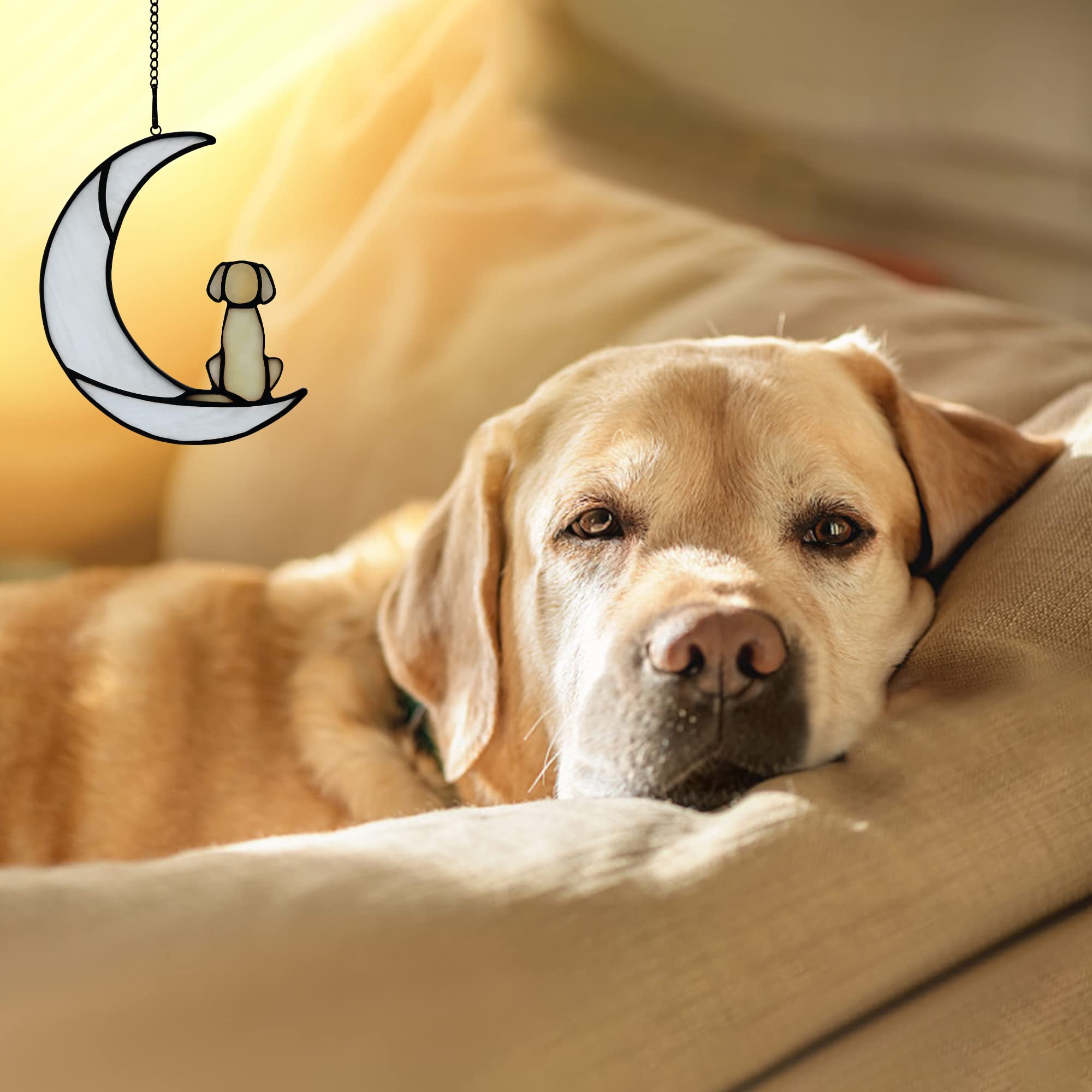 BOXCASA dog on moon suncatcher hangs in window, catching sunbeams