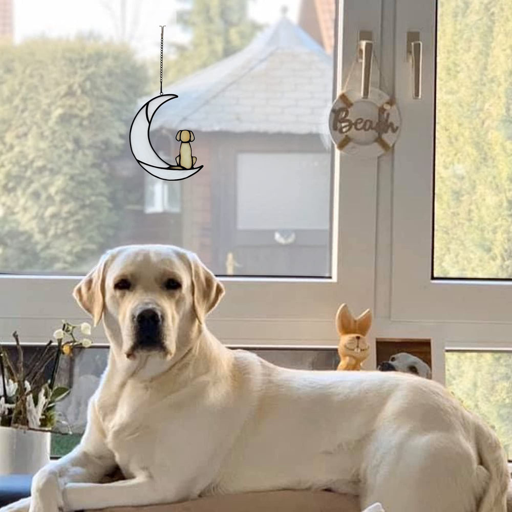 BOXCASA window hanging memorial decor emphasizes precious memories of a pet