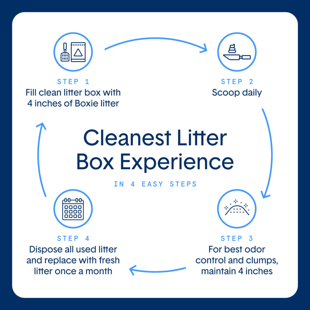 Boxiecat Glo near-dust-free design for a cleaner litter area