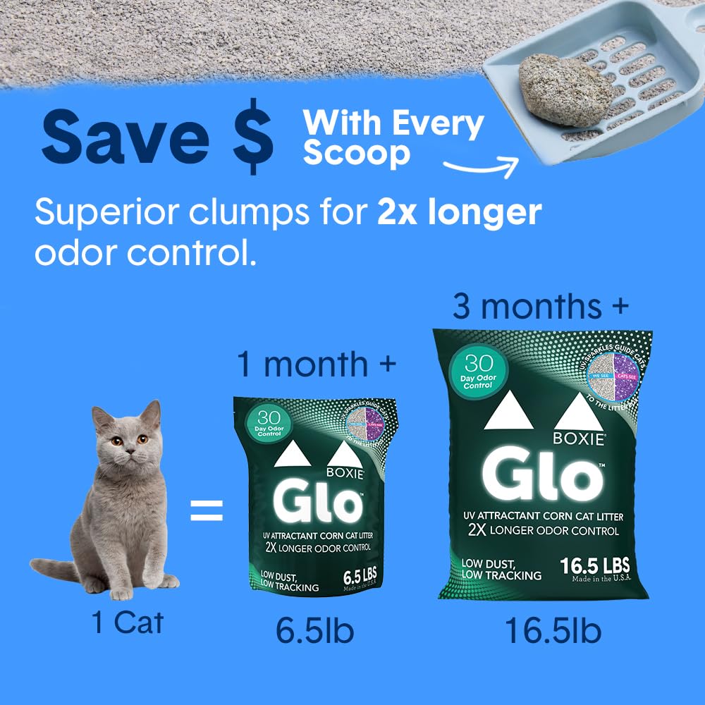 Boxiecat Glo 6.5 lb bag offers long-lasting plant-based performance
