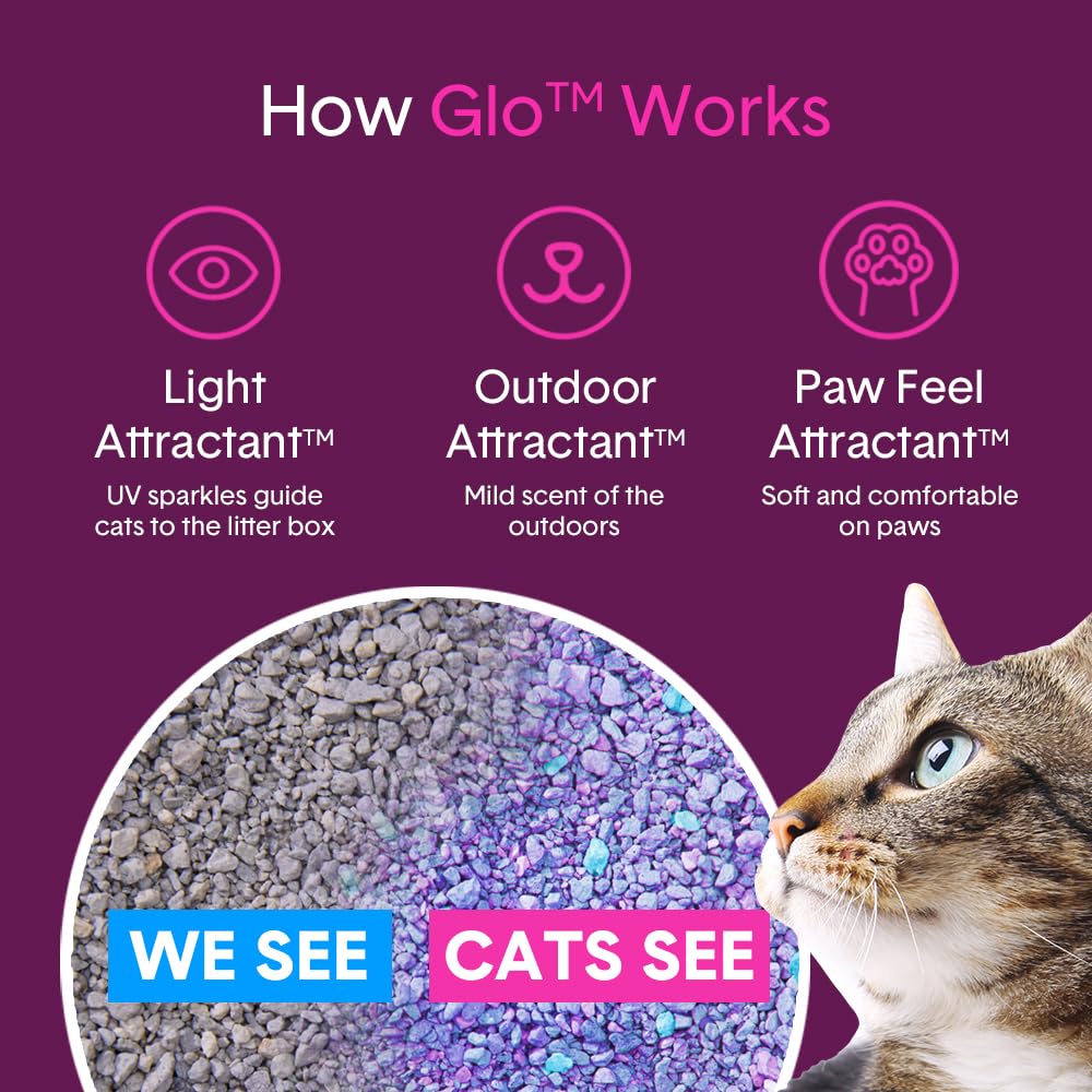 Boxiecat Glo supports calmer litter box routines for pets