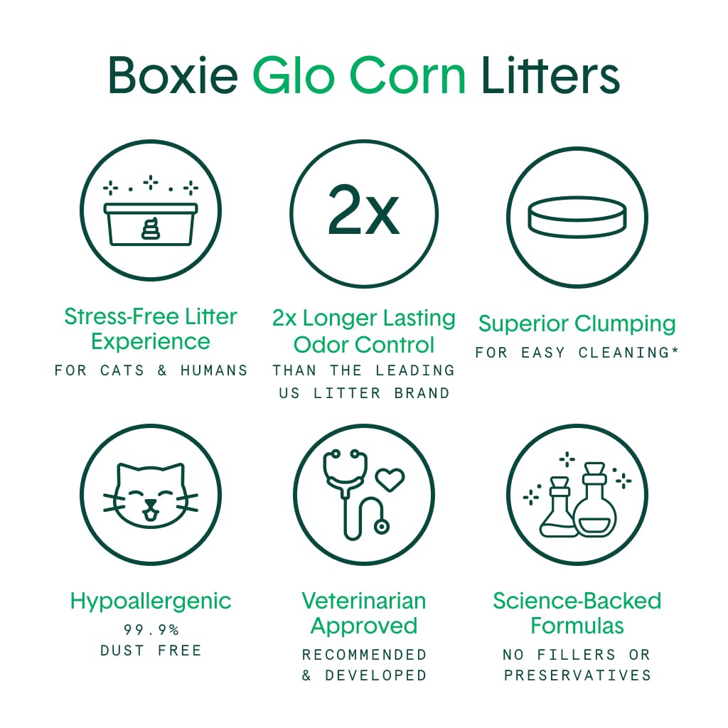 Boxiecat Glo lightweight corn granules for easy lifting and pouring