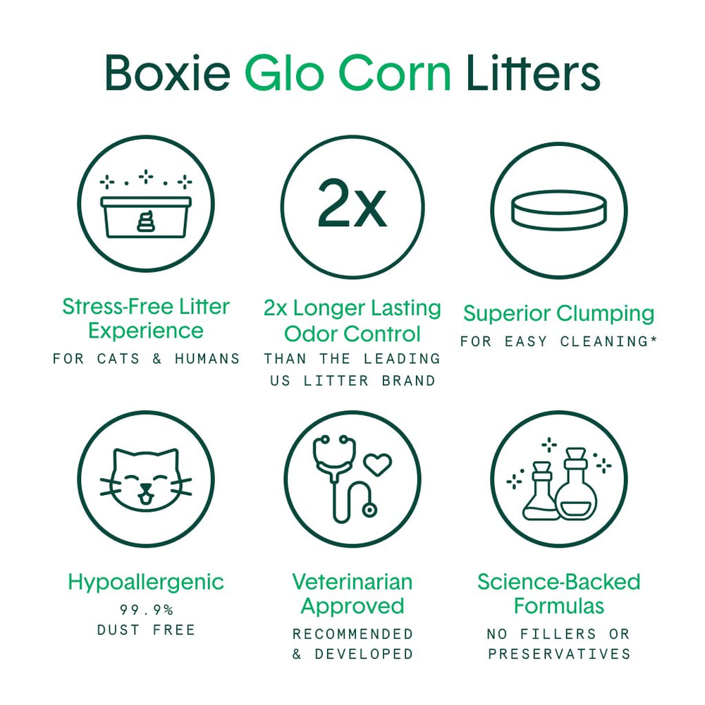 Boxiecat Glo lightweight corn granules for easy lifting and pouring